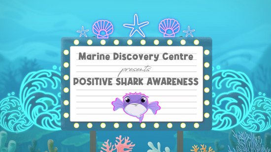 Marine Discovery Centre - #01 Shark Awareness